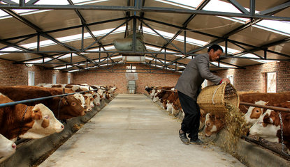 【走進“三農”】張家川五大產業齊并進（三）畜牧設備技術開發 賦能傳統養殖，驅動產業升級